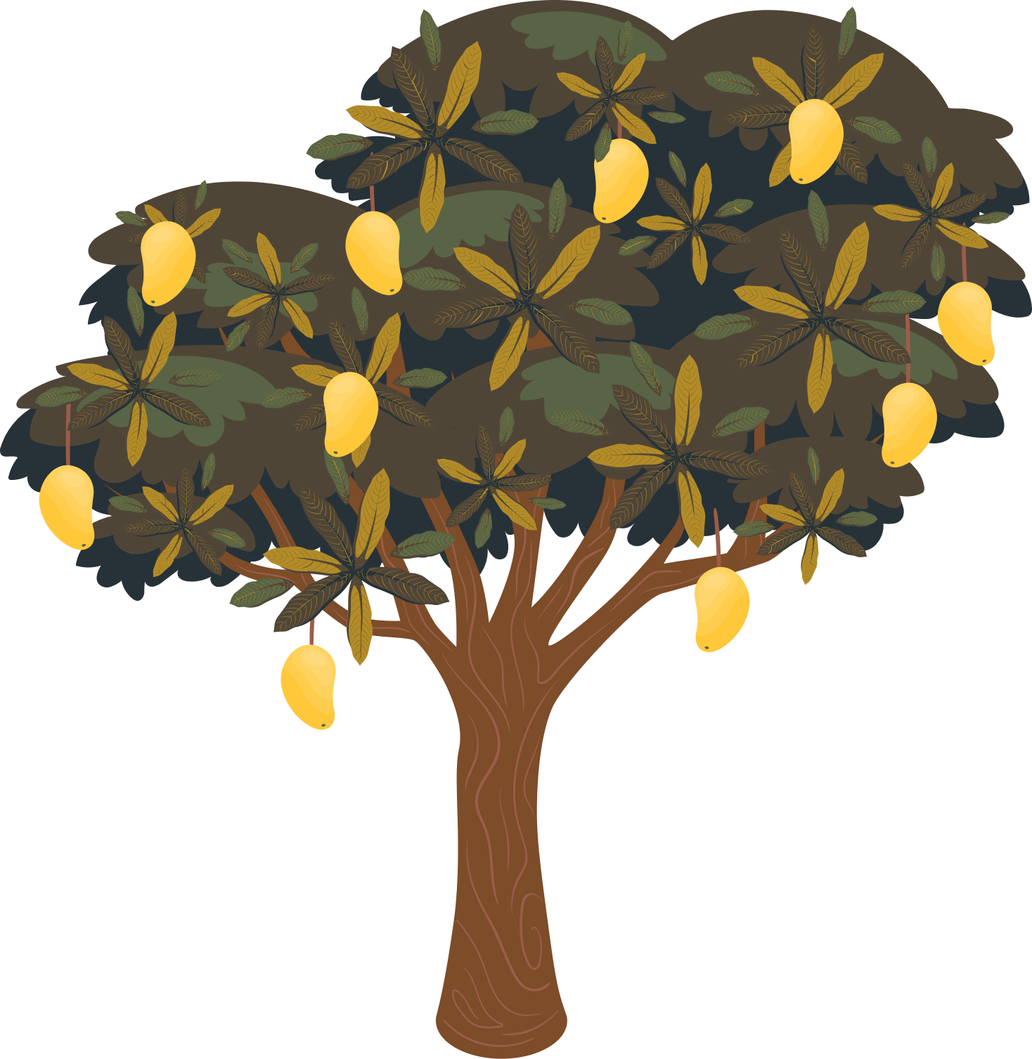 Tree With Mangos